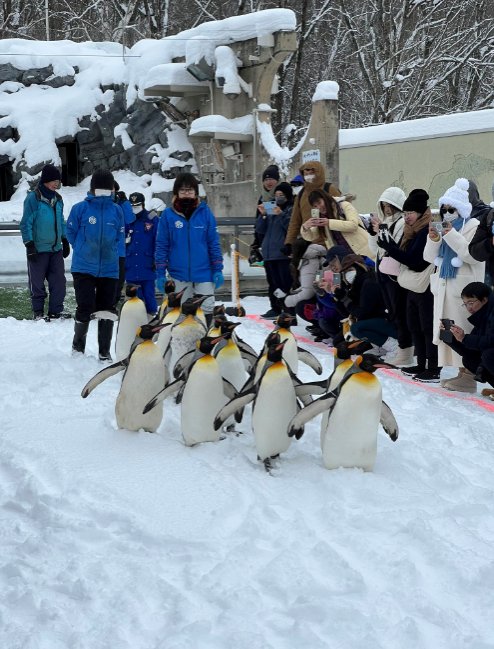 🐧 아사히야마 동물원 이미지 9
